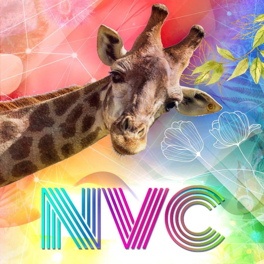 nvc-rising