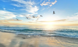 WHAT HAPPENS WHEN WE DIE