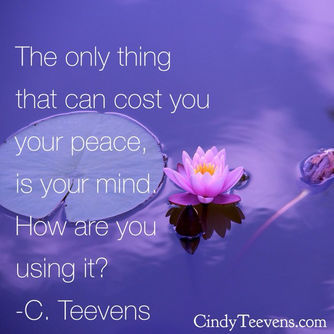 cindy-teevens