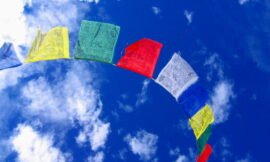 Survey and Feedback Form (16-G) #2 #2