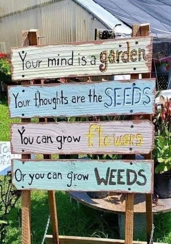 mind-is-a-garden-flowers